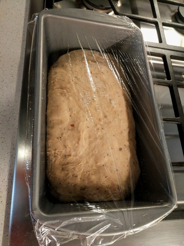 Dough shaped into a log, beginning to rise in the loaf pan